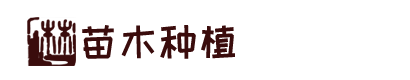 AG旗舰厅 (中国大陆) Apple Store